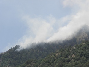 Човешка намеса е причината за пожара в Рила
