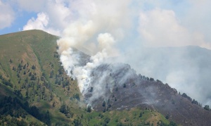 Пожарът в Рила е овладян, продължава гасенето по северозападния склон