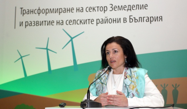 Танева: ЕК си иска 28 млн. евро дадени за фотоволтаици и ветропаркове