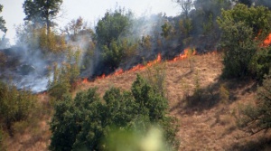 Пожарът край Лесово се разраства