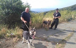 Над 40 души издирват дядо, изчезнал на Бузлуджа