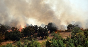 Рила отново в пламъци: 10 души в борба със стихията