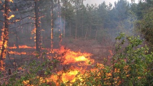 Пожар грози три села край Сопот