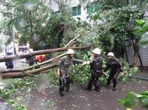 Поне 9 души загинаха от тайфун в Китай