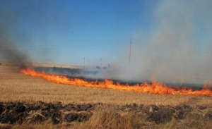 Пожар в Тюленово спрян на метри от селото и цистерни за нефт