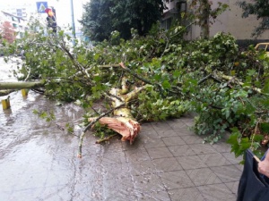 Бурята в Пловдив взе втора жертва