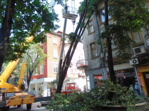 След пороите: Пловдив и Пазарджик под вода