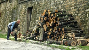 Няма да има повишение в цените на дървата за огрев