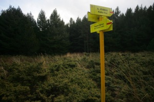 Издирва се момче в района на Черни връх