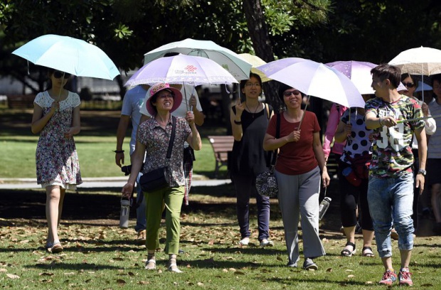 Жегите в Япония отнеха 32 живота за седмица