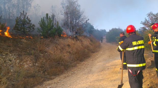 След пожара край Мъглиж 50 дка гора е на пепел