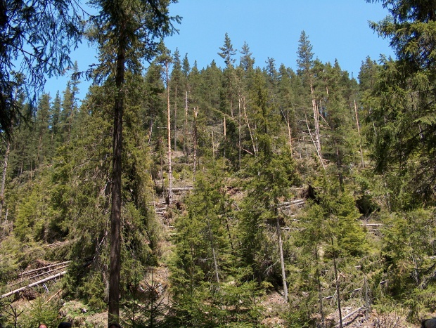 Отпускат 15,8 млн. лв. за проекти за превенция на природни бедствия