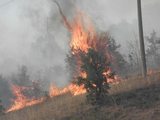 Пожар вдигна на крак благоевградско село