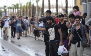 "Алфа Рисърч": Българите смятат бежанците за опасност