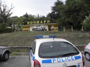 Хванаха избягалата вълчица от благоевградския зоопарк