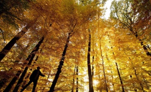 Синоптик: Още два дни търпение и идва циганско лято