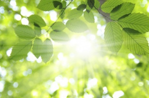 Слънчево и топло през първия ден от мини ваканцията