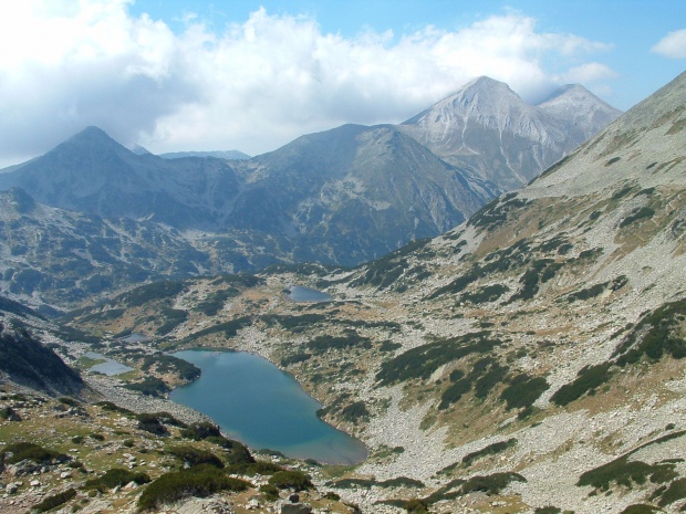 WWF България събира средства за опазване на ''Национален парк Пирин''