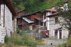 Създава се ново село във вилната зона на Долна баня