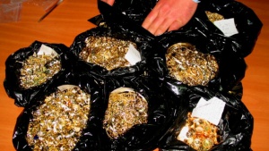 Митничари намериха златно съкровище в автобус