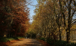 Времето постепенно се затопля