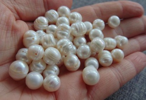 НАП пуска на търг 5 кг естествени перли