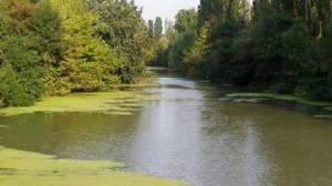 АФП: "Треска за злато" привлича стотици по българските реки