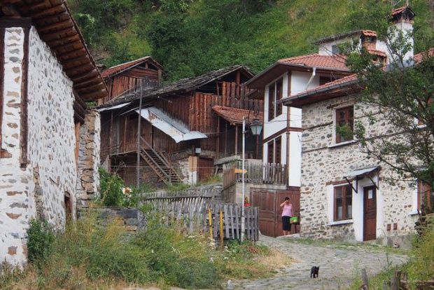 Създава се ново село във вилната зона на Долна баня