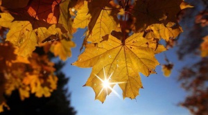 Слаб вятър и температури до 18 градуса в неделя