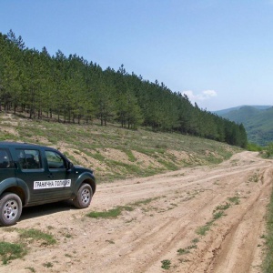 Бежанец е открит мъртъв на горски път в Странджа