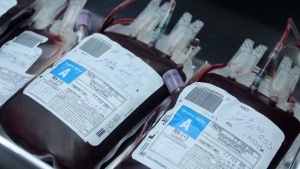 Започва кръводарителска акция с цел намаляване на жертвите на пътя