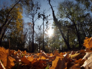 Термометрите днес ще показват до 22°