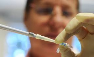 Първи реални опити за генна модификация се очакват през 2017г.