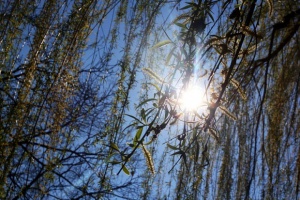 Слабо повишение на температурите и слънчево време