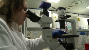 Съдят жена в Северна Ирландия заради аборт