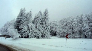 Сняг, дъжд и силен вятър ще ни брулят през уикенда