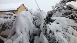Всички населени места в Североизточна България вече имат ток