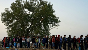 Human Rights Watch: В България бият бежанци