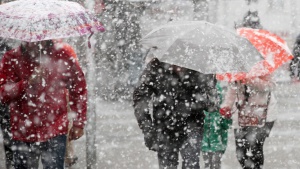 Валя за пръв път от 115 години сняг на японския остров Амами Ошима