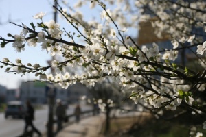 Продължава да се затопля, термометърът ще стигне 15 градуса