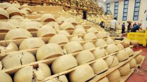 Италиански млекопроизводители пласираха дълг за 6 млн. евро, гарантиран с пармезан