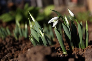Температурите скачат до 20°-25°