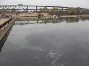 Масивен нефтен разлив е открит по течението на река Дунав