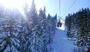 Ивелина Василва: Ще прецизираме зоните за ски туризъм на Витоша