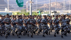 Турция търси съюзници за сухопътна операция в Сирия