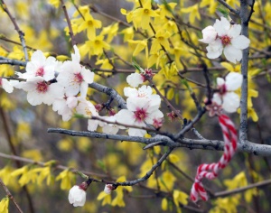 Шарено време ни очаква в следващите две седмици