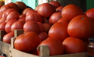 Георги Камбуров: Гръцката продукция е в лошо състояние, а на пазара няма български домати