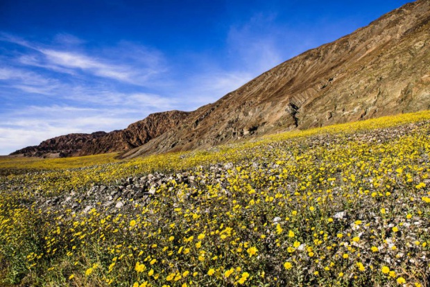 Пролет в Долината на смъртта