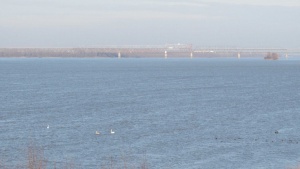 Нивото на река Дунав се вдига, започва денонощно наблюдение