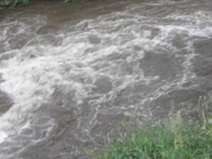 Дете се удави във Владайската река в София